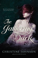 The Gathering Dark-Children’s / Teenage fiction: Relationship stories-買書書 BuyBookBook