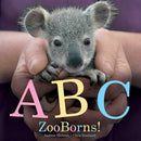 ABC ZooBorns!-Children’s / Teenage general interest: Nature and animals-買書書 BuyBookBook