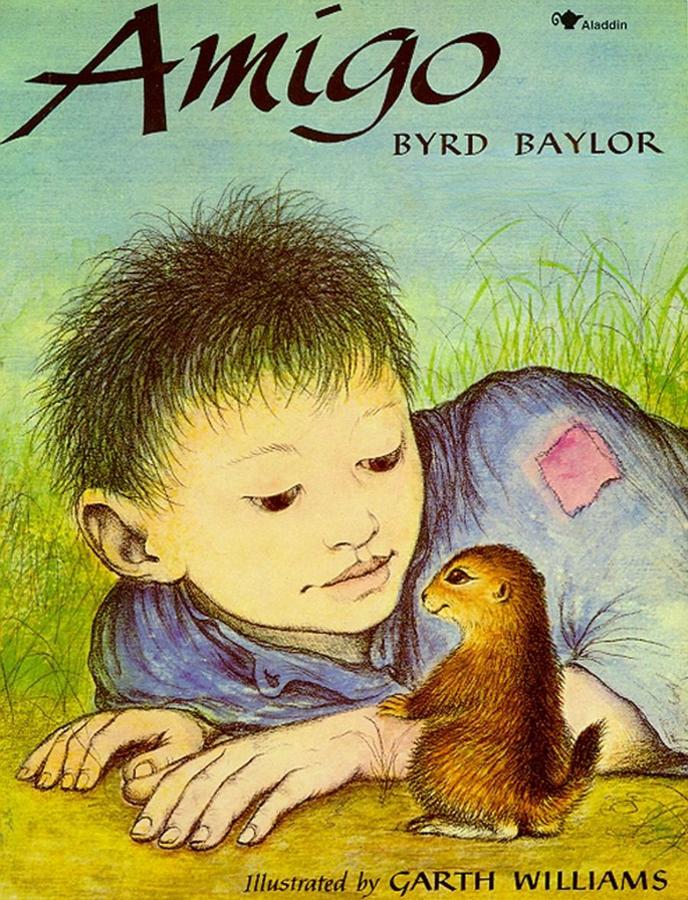 Amigo-Children’s / Teenage fiction: General and modern fiction-買書書 BuyBookBook