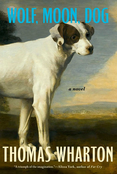 Wolf, Moon, Dog