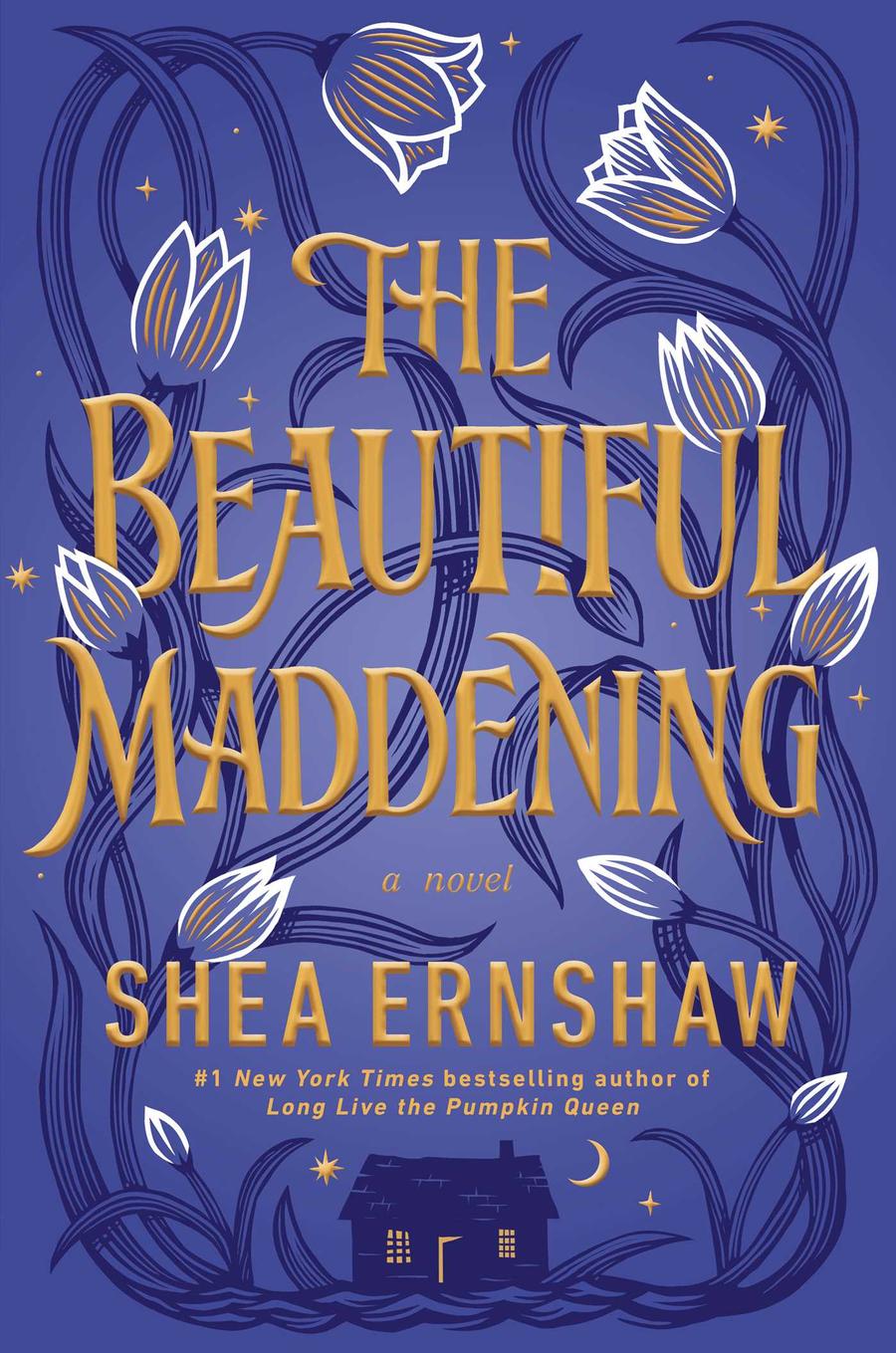 The Beautiful Maddening-Children’s / Teenage fiction: Relationship stories-買書書 BuyBookBook