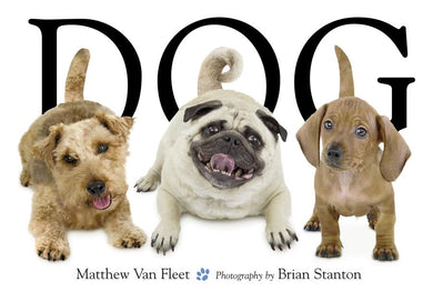 Dog-Children’s interactive and activity books and kits-買書書 BuyBookBook