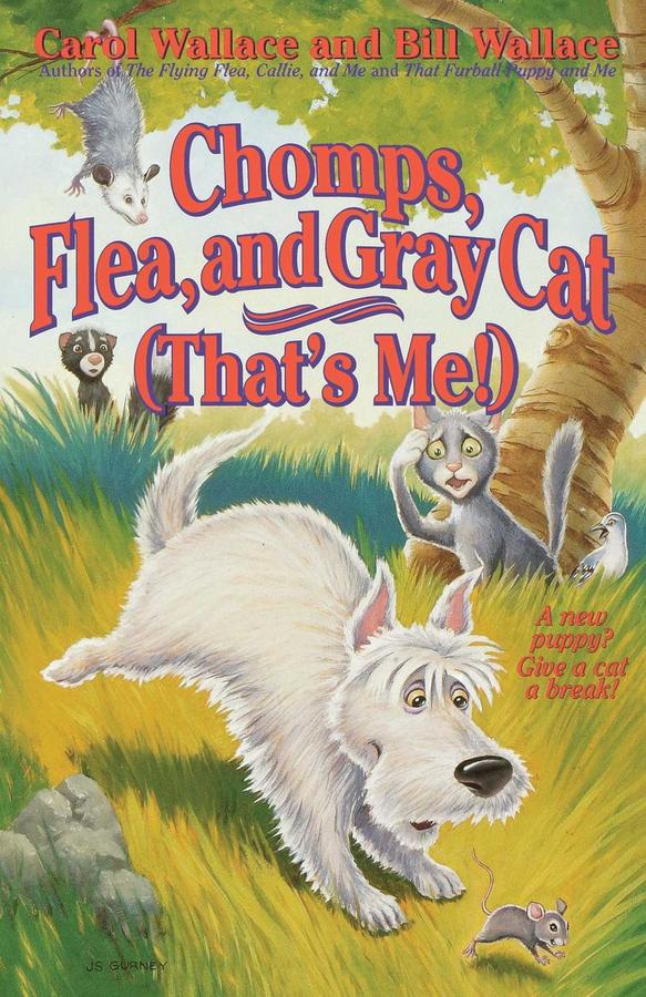 Chomps, Flea, and Gray Cat (That's Me!)-Children’s / Teenage fiction: General and modern fiction-買書書 BuyBookBook