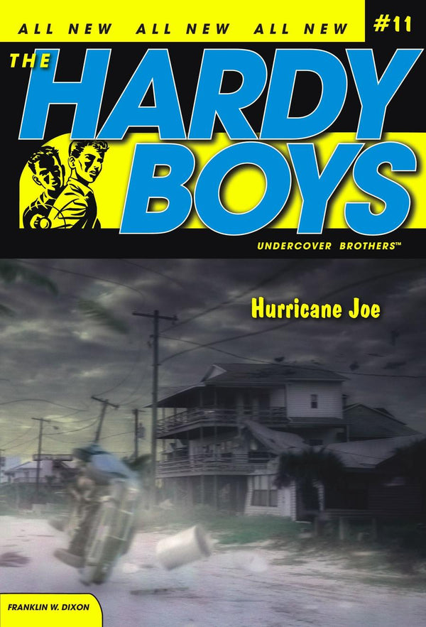 Hurricane Joe-Children’s / Teenage fiction: General and modern fiction-買書書 BuyBookBook