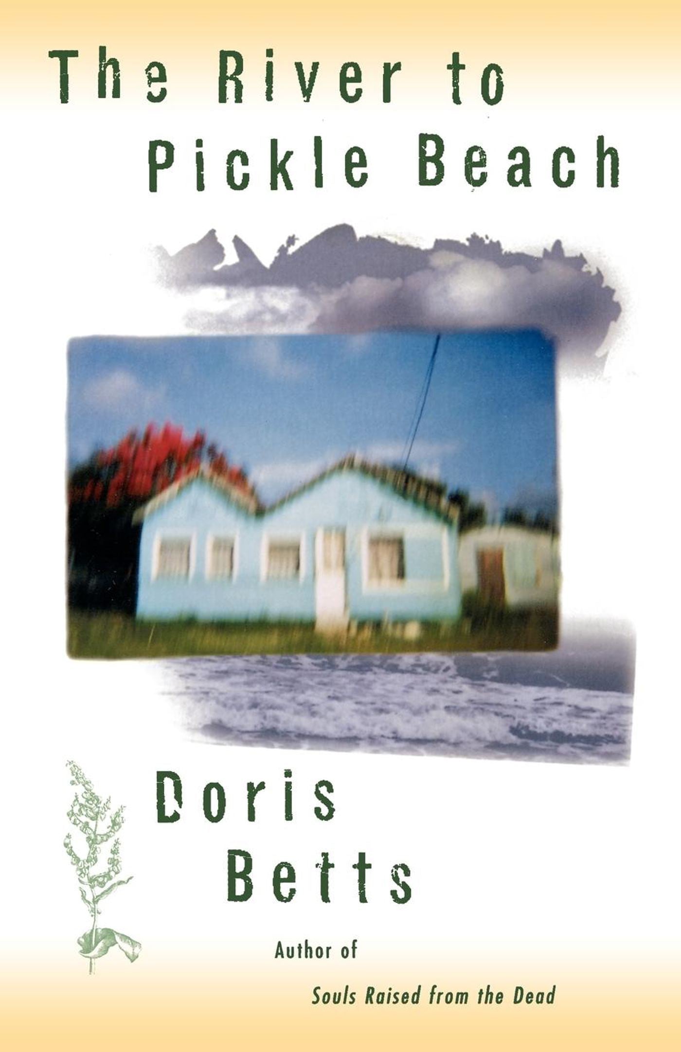 The RIVER TO PICKLE BEACH-Fiction: general and literary-買書書 BuyBookBook