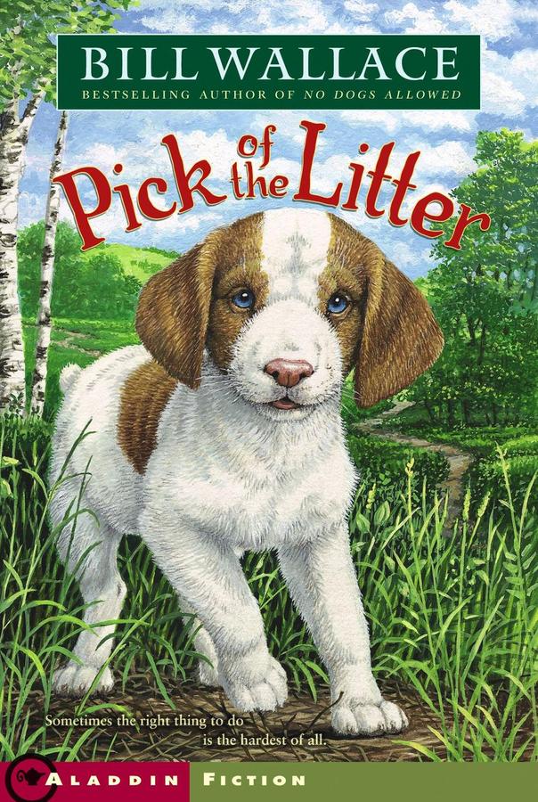 Pick of the Litter-Children’s / Teenage fiction: Nature and animal stories-買書書 BuyBookBook