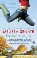 The Secret of Joy-Fiction: general and literary-買書書 BuyBookBook