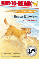 Brave Norman-Children’s / Teenage reference material-買書書 BuyBookBook