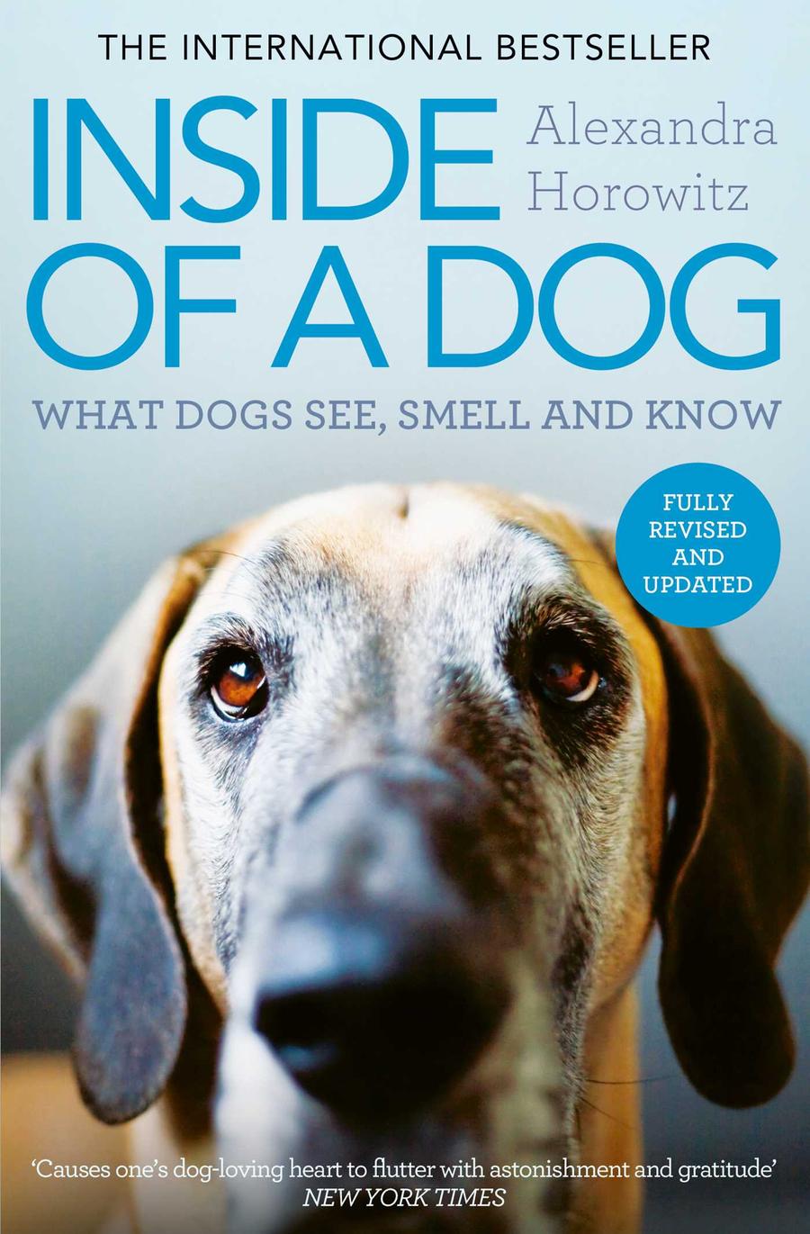 Inside of a Dog