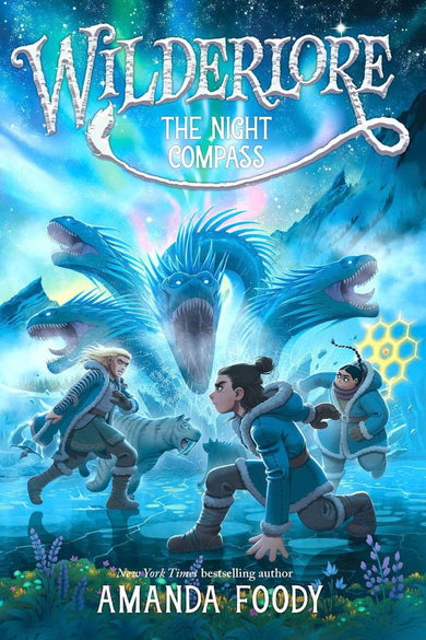 The Night Compass-Children’s / Teenage fiction: Action and adventure stories-買書書 BuyBookBook