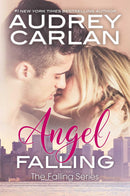 Angel Falling-Fiction: Thriller and horror-買書書 BuyBookBook