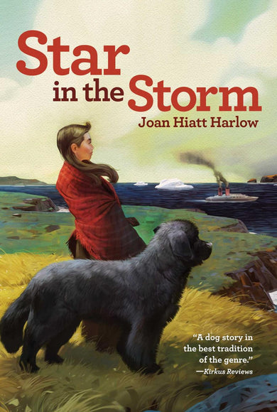 Star in the Storm-Children’s / Teenage fiction: General and modern fiction-買書書 BuyBookBook