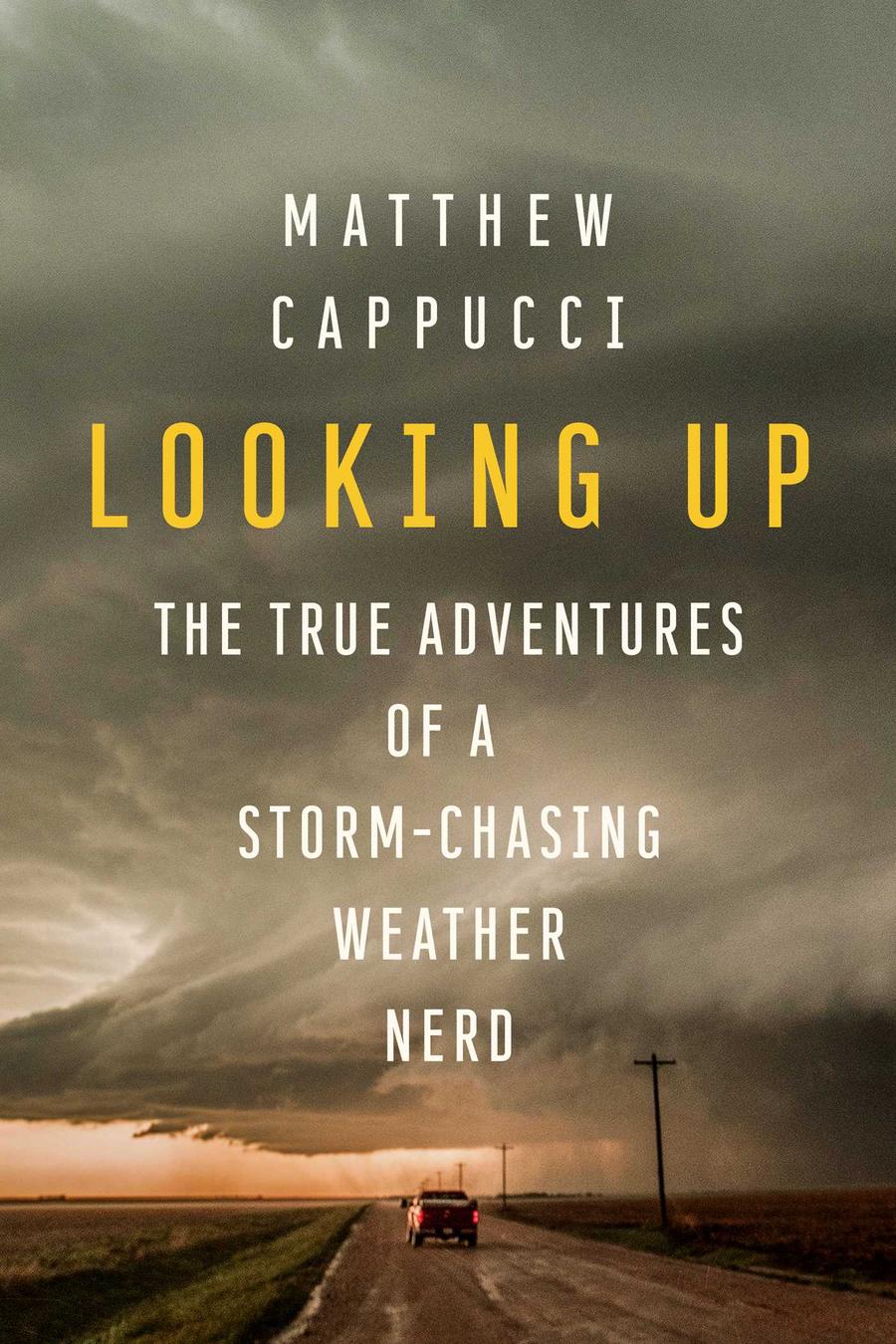 Looking Up-Biography and memoirs-買書書 BuyBookBook
