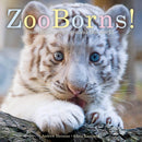 ZooBorns!-Children’s / Teenage general interest: Nature and animals-買書書 BuyBookBook