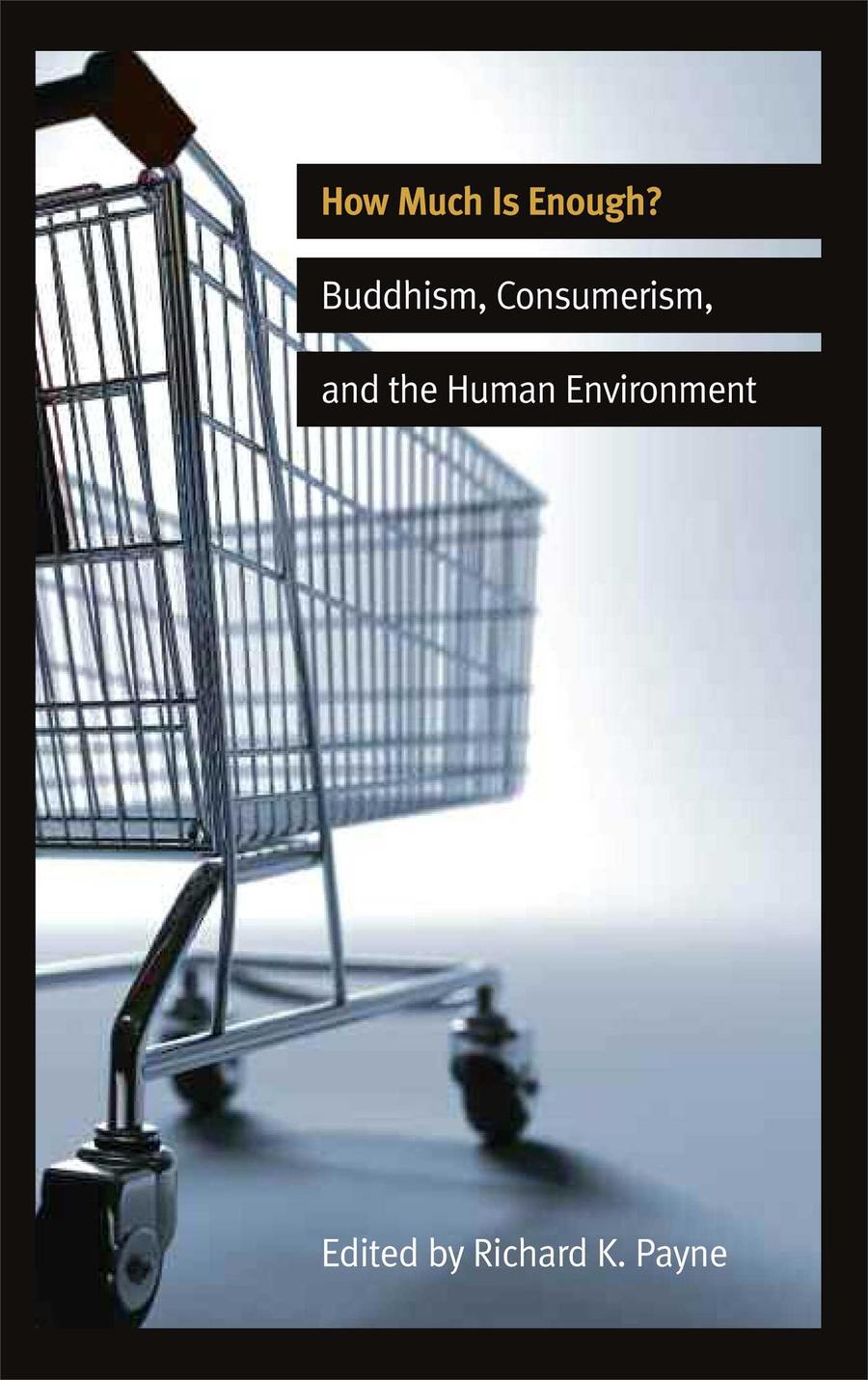 How Much is Enough?-Philosophy-買書書 BuyBookBook