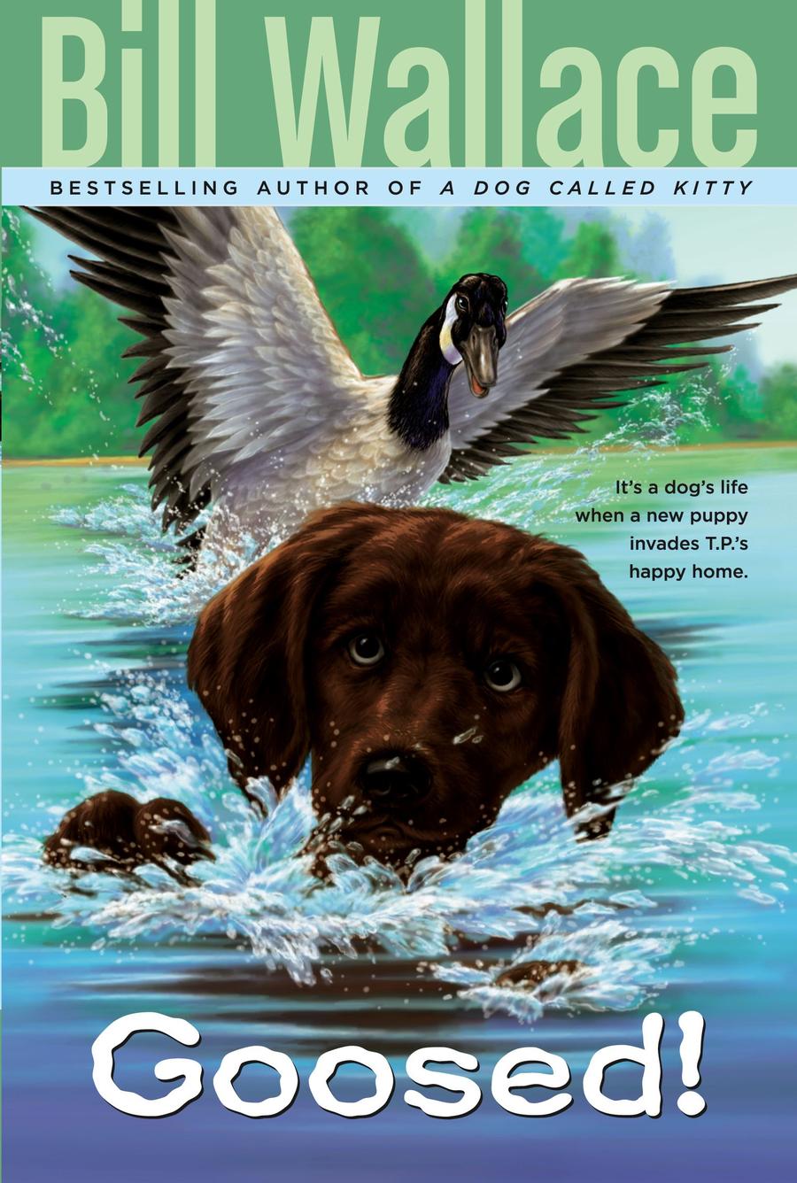 Goosed!-Children’s / Teenage fiction: Nature and animal stories-買書書 BuyBookBook