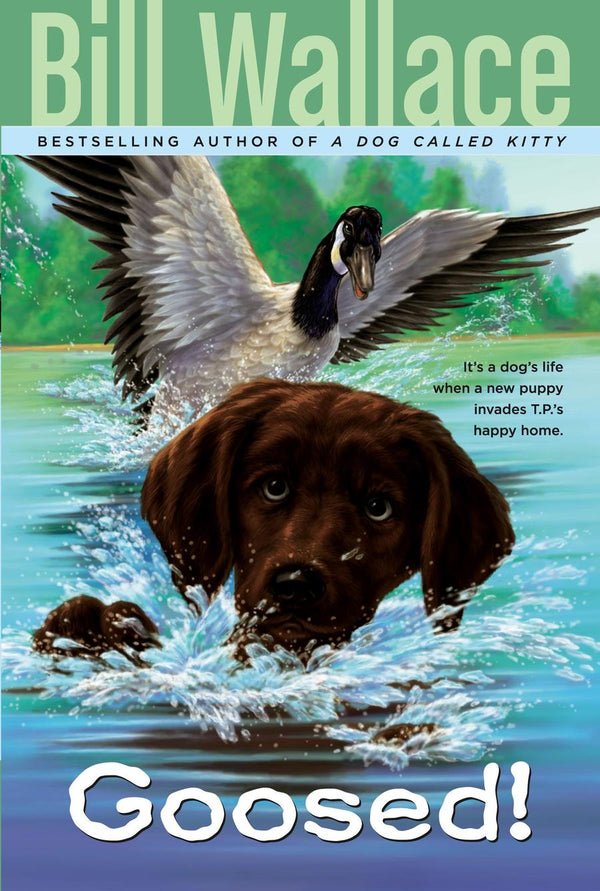 Goosed!-Children’s / Teenage fiction: Nature and animal stories-買書書 BuyBookBook