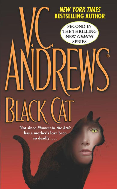 Black Cat-Fiction: general and literary-買書書 BuyBookBook