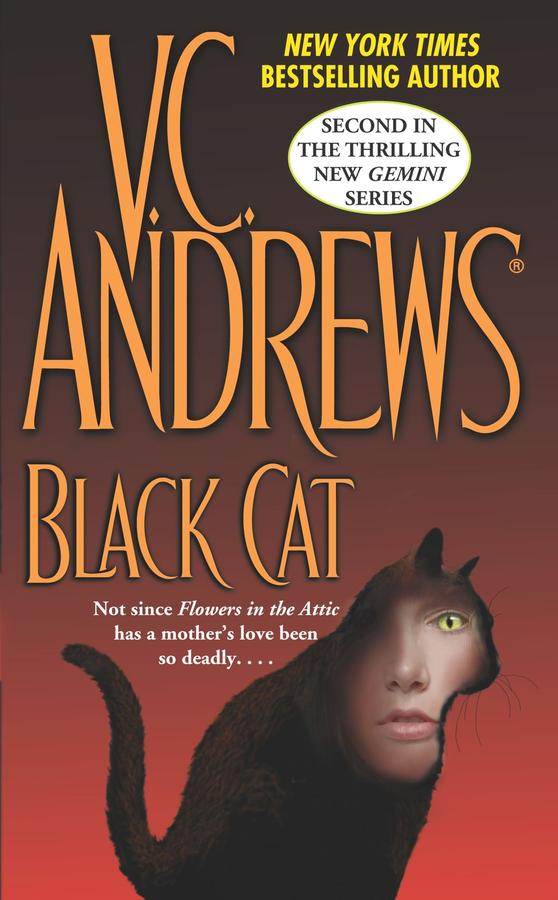 Black Cat-Fiction: general and literary-買書書 BuyBookBook