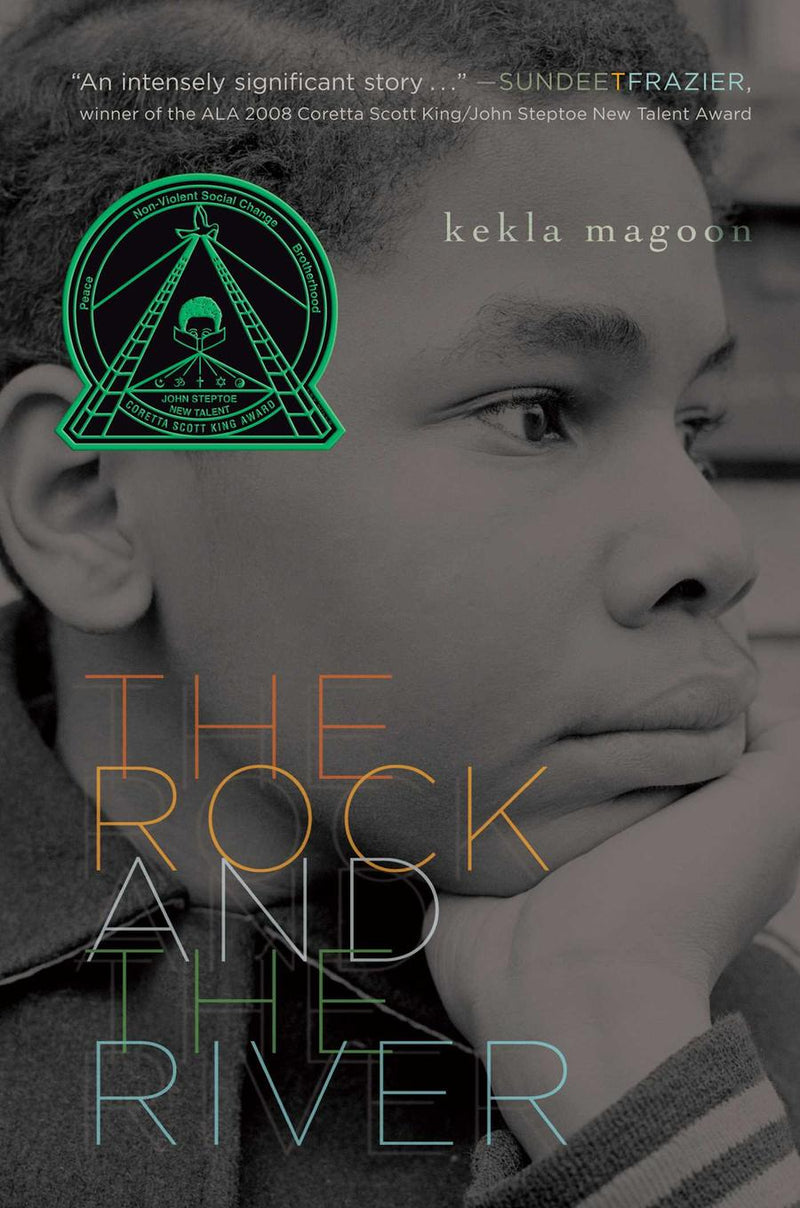 The Rock and the River-Children’s / Teenage fiction: General and modern fiction-買書書 BuyBookBook