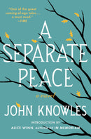 A Separate Peace-Fiction: general and literary-買書書 BuyBookBook