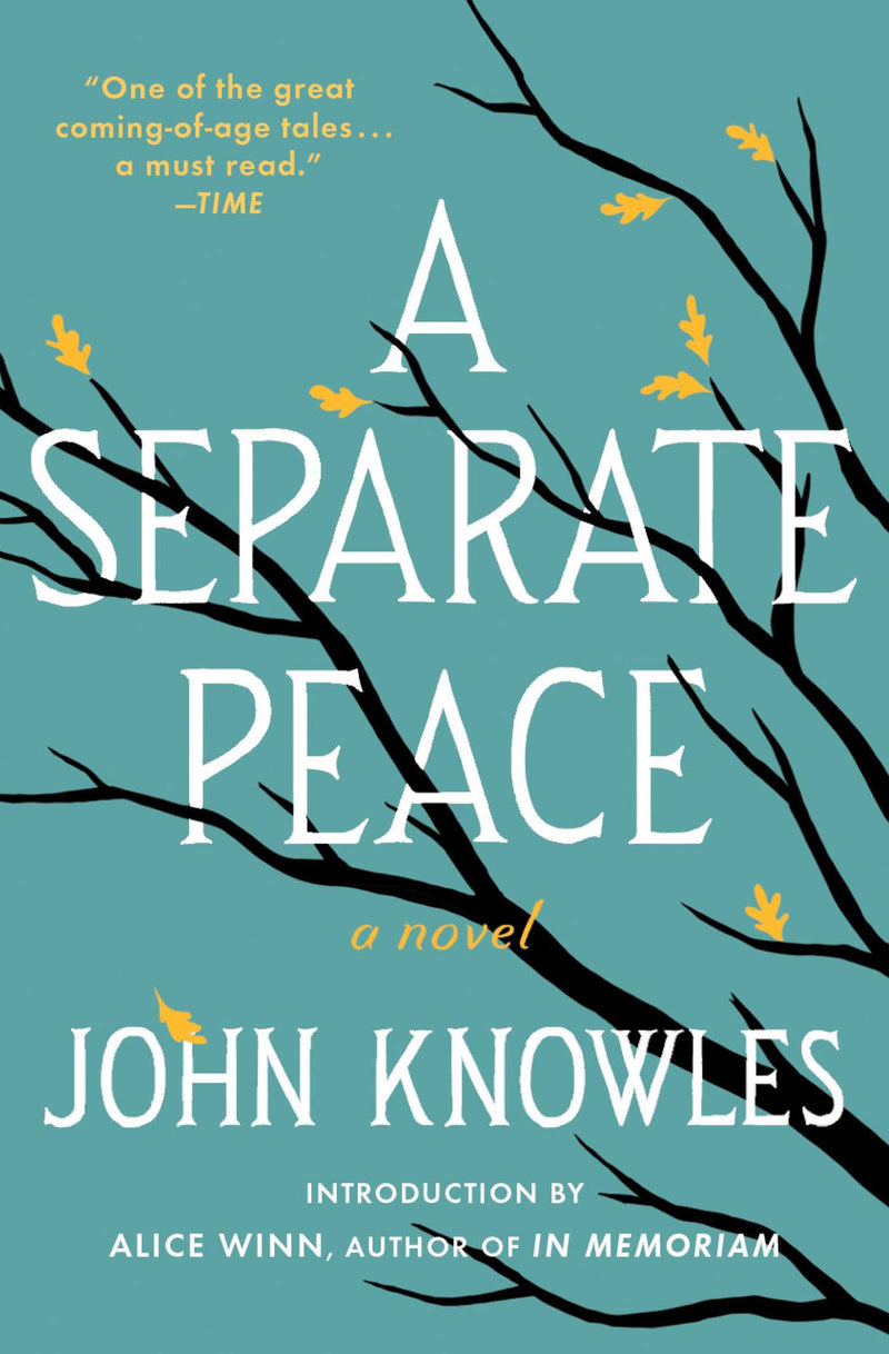 A Separate Peace-Fiction: general and literary-買書書 BuyBookBook