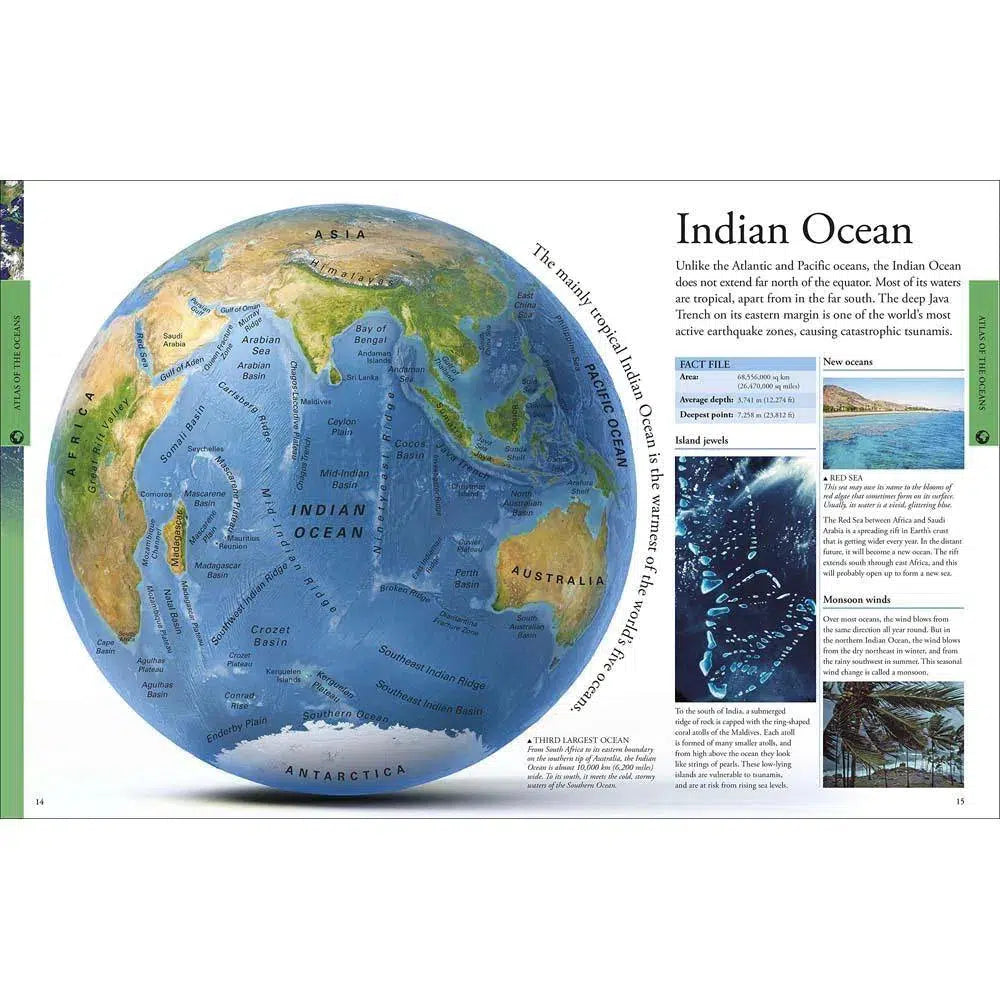 Ocean A Children's Encyclopedia (Hardback) DK UK