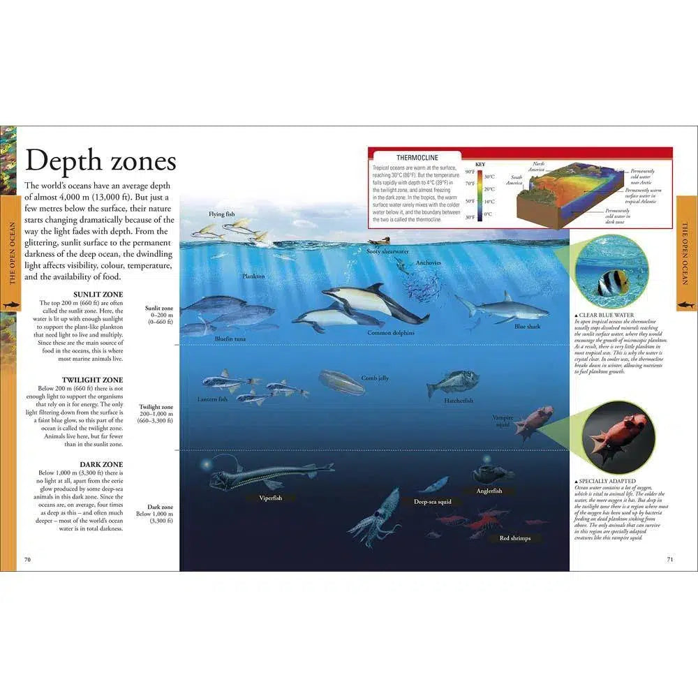 Ocean A Children's Encyclopedia (Hardback) DK UK