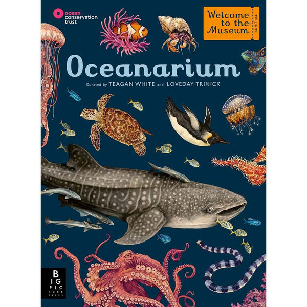 Welcome to the Museum: Oceanarium (Loveday Trinick)-Nonfiction: 參考百科 Reference & Encyclopedia-買書書 BuyBookBook