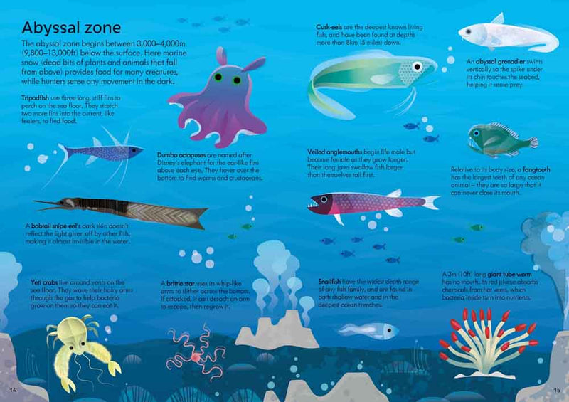 Oceans (Usborne Book and Jigsaw) (300 pcs) - 買書書 BuyBookBook