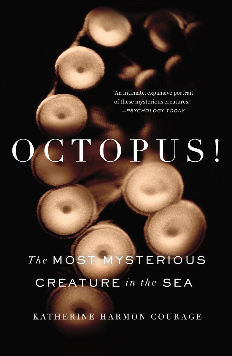 Octopus!-Zoology: invertebrates-買書書 BuyBookBook