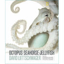 Octopus, Seahorse, Jellyfish (Hardback) - 買書書 BuyBookBook