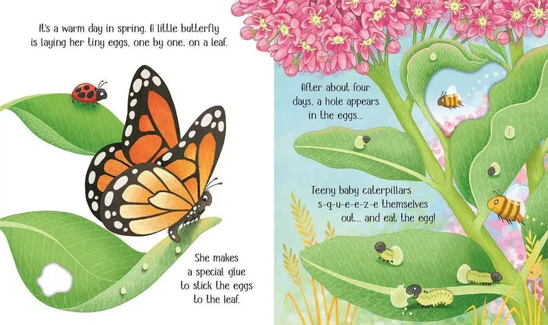 One Little Butterfly-Fiction: 兒童繪本 Picture Books-買書書 BuyBookBook