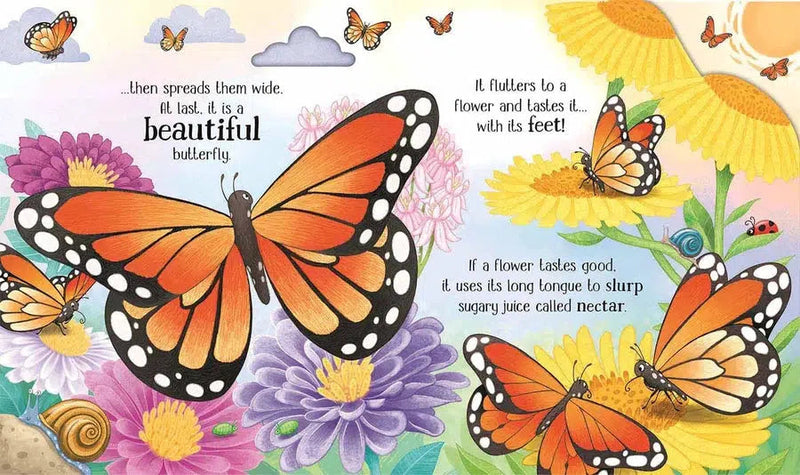 One Little Butterfly-Fiction: 兒童繪本 Picture Books-買書書 BuyBookBook