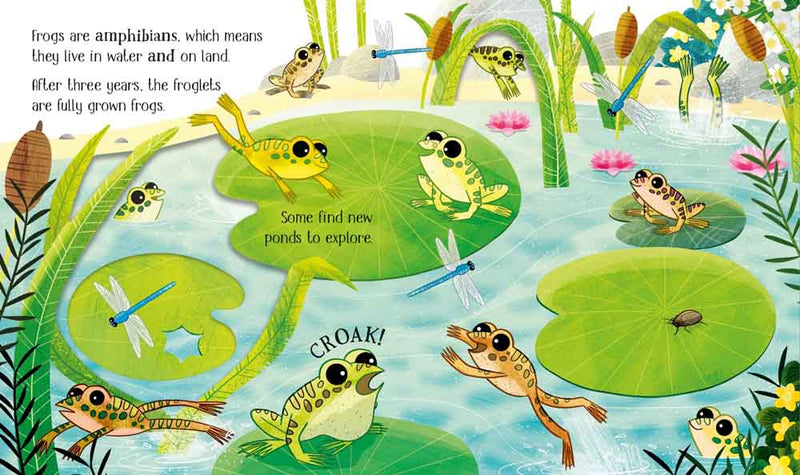 One Little Frog - 買書書 BuyBookBook