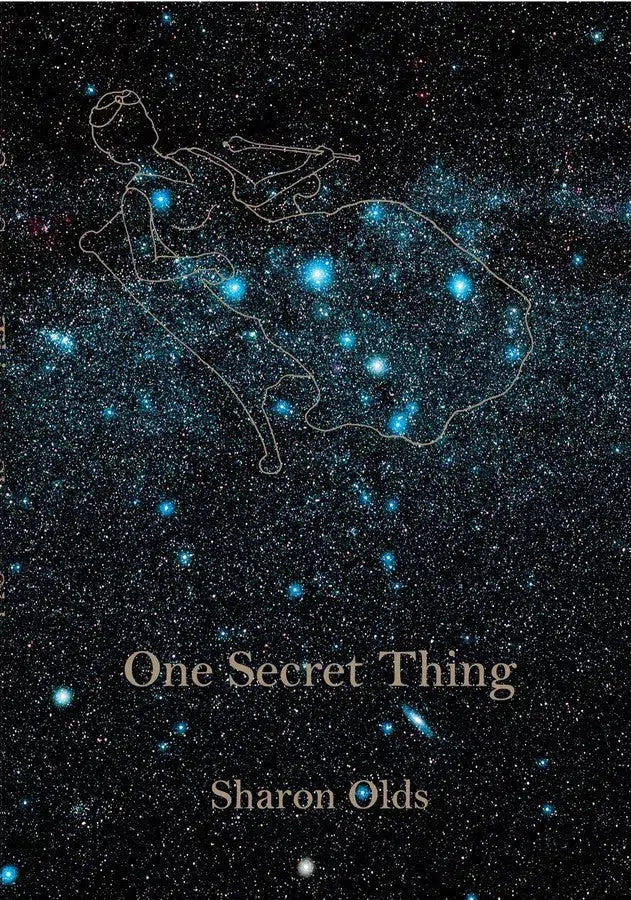 One Secret Thing-Poetry-買書書 BuyBookBook