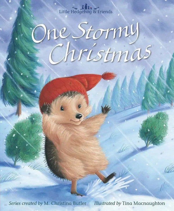 One Stormy Christmas-Children’s / Teenage fiction: General, modern and contemporary fiction-買書書 BuyBookBook