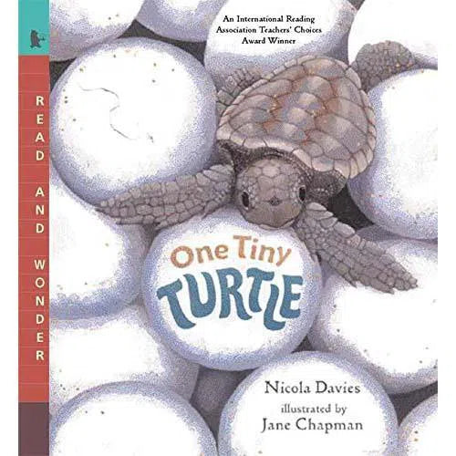 One Tiny Turtle Candlewick Press