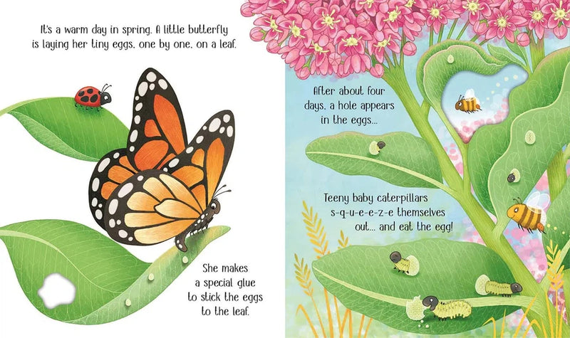 One Little Butterfly-Fiction: 兒童繪本 Picture Books-買書書 BuyBookBook