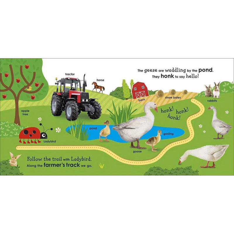 On the Farm with a Ladybird (Board book) DK UK