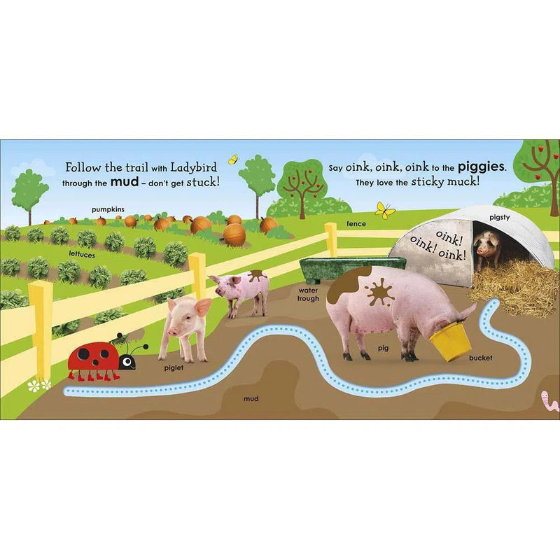 On the Farm with a Ladybird (Board book) DK UK