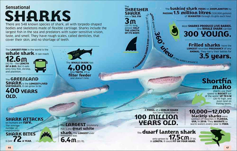 Our World in Numbers Animals-Nonfiction: 動物植物 Animal & Plant-買書書 BuyBookBook