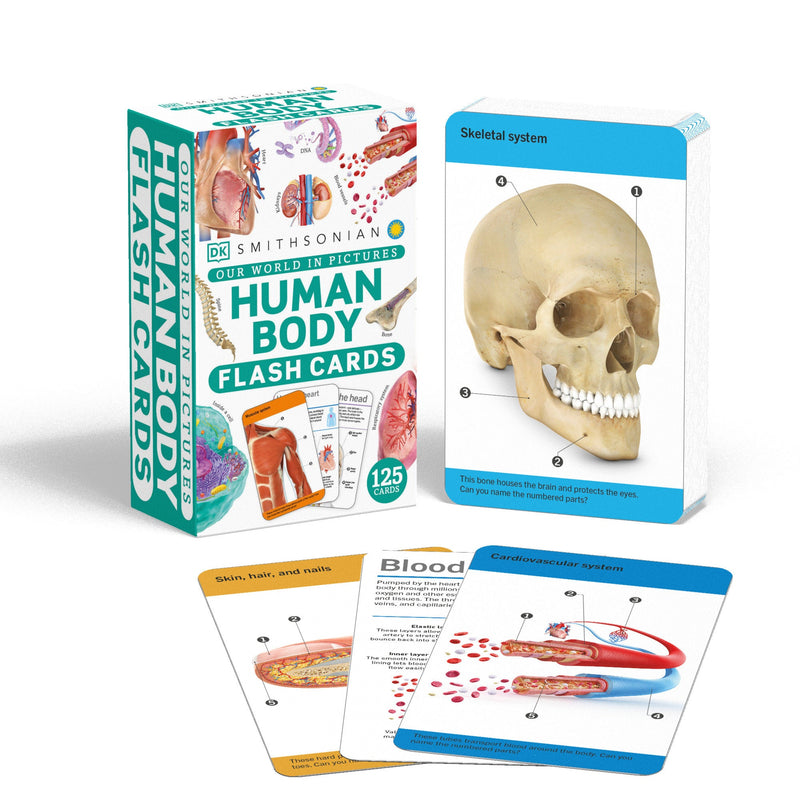 Our World in Pictures Human Body Flash Cards-Children’s / Teenage general interest: Science and technology-買書書 BuyBookBook