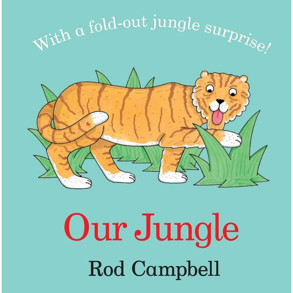 Our Jungle (Board Book) (Rod Campbell) Campbell