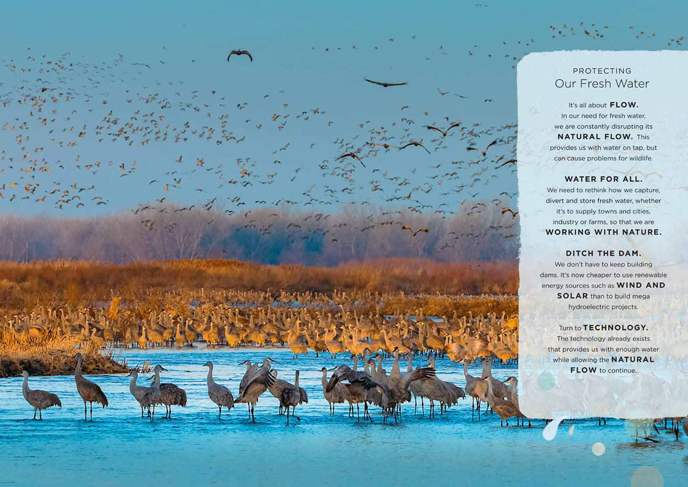 Our Planet, The One Place We All Call Home-Nonfiction: 常識通識 General Knowledge-買書書 BuyBookBook