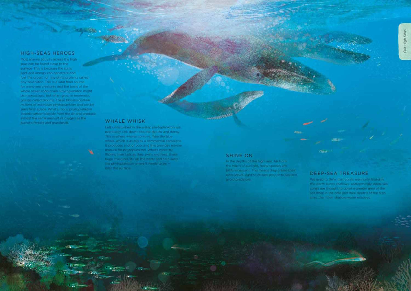 Our Planet, The One Place We All Call Home-Nonfiction: 常識通識 General Knowledge-買書書 BuyBookBook