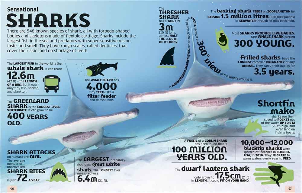 Our World in Numbers Animals-Nonfiction: 動物植物 Animal & Plant-買書書 BuyBookBook