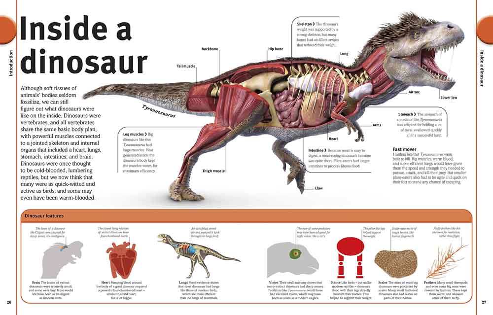 Our World in Pictures - The Dinosaurs Book-Nonfiction: 動物植物 Animal & Plant-買書書 BuyBookBook