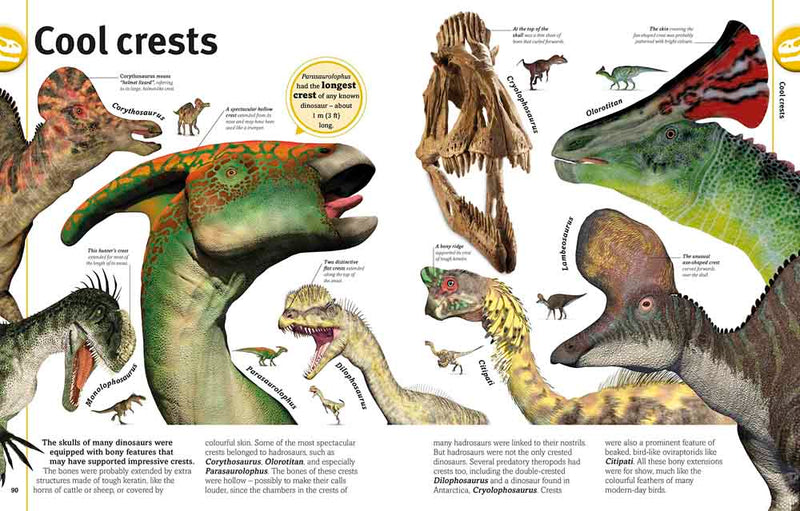 Our World in Pictures - The Dinosaurs Book-Nonfiction: 動物植物 Animal & Plant-買書書 BuyBookBook