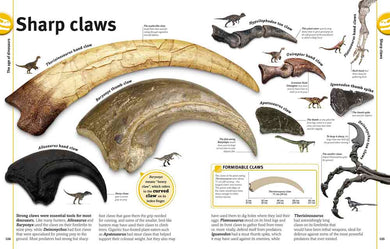Our World in Pictures - The Dinosaurs Book-Nonfiction: 動物植物 Animal & Plant-買書書 BuyBookBook